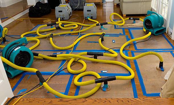Professional Sewage Cleanup technician working in Saint Marys, IA
